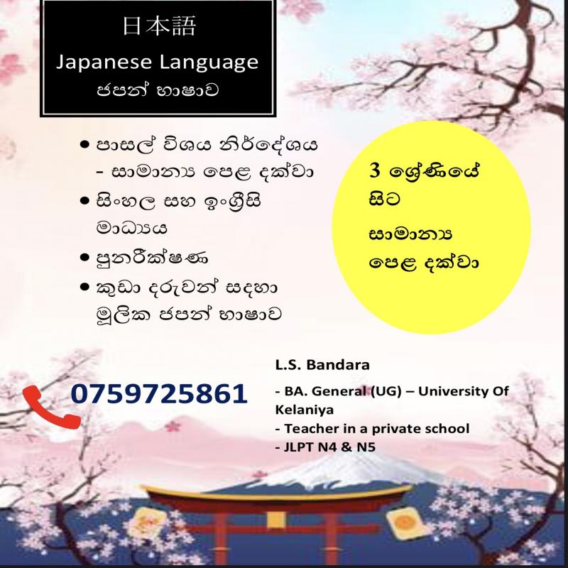 Japanese Classes Online or Physical