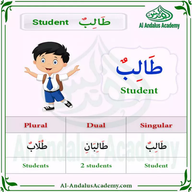 Arabic online classes for girls and ladies