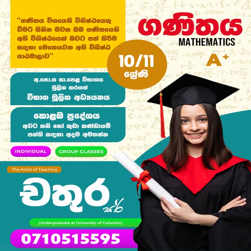 O/L Mathematics Group And Individual Classes - Colombo