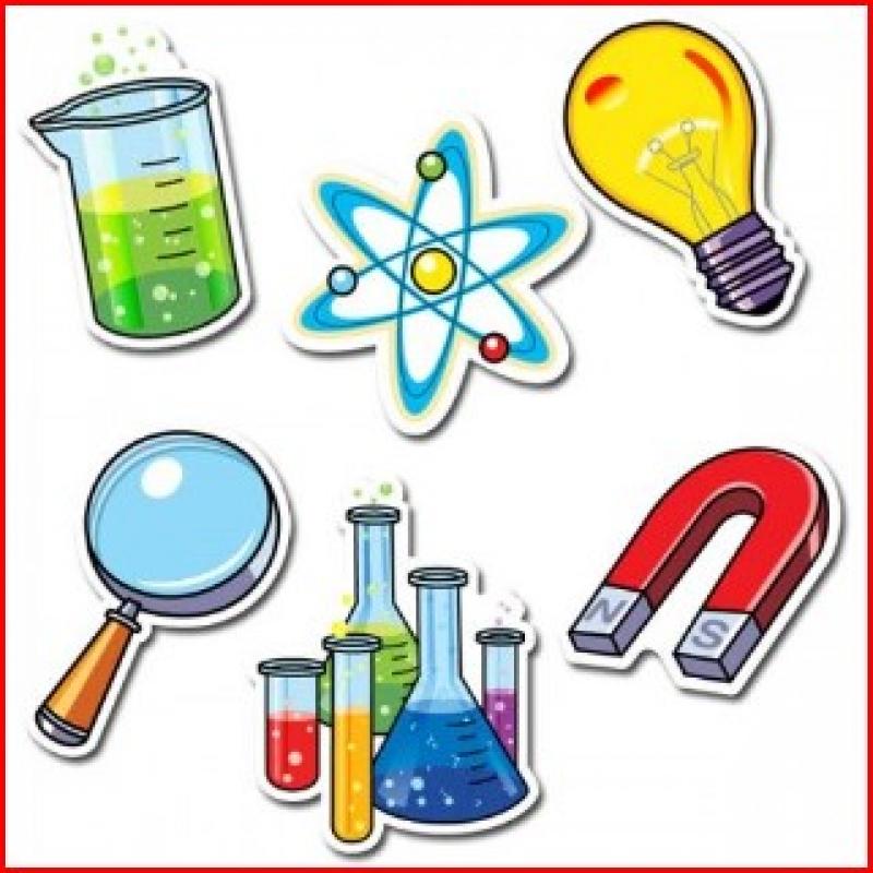science grade 6-11 individual/group/ online class