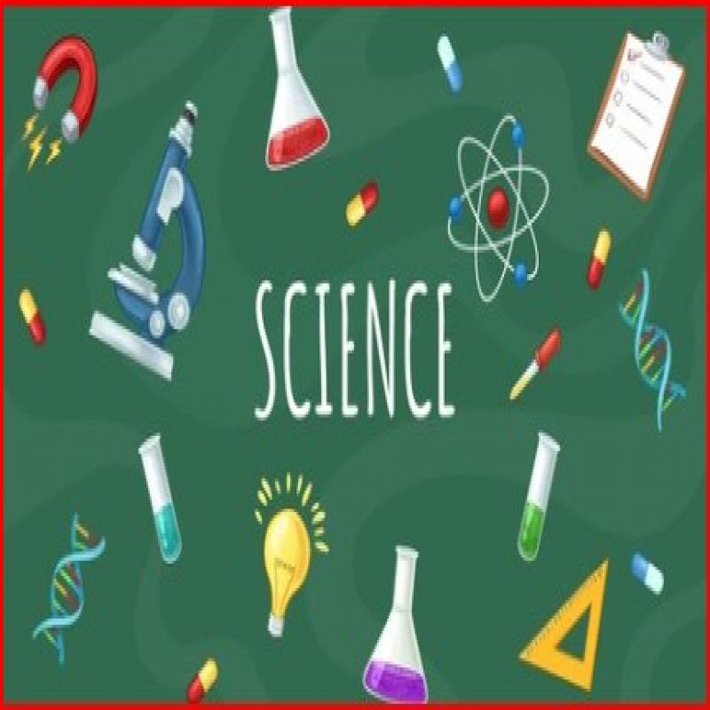 science grade 6-11 individual/home visit/ online class