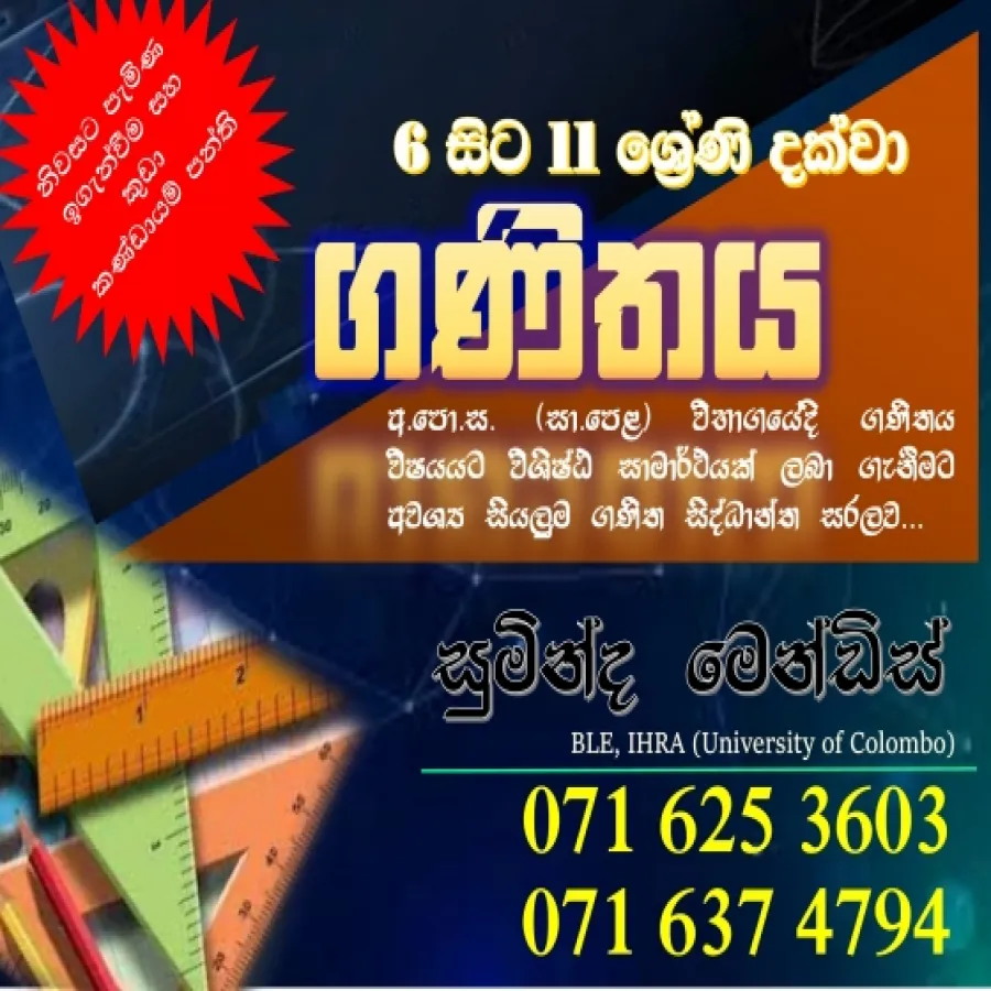 Grade 6-11 Mathematics Home Visit/Small Group Class  Sinhala Midium