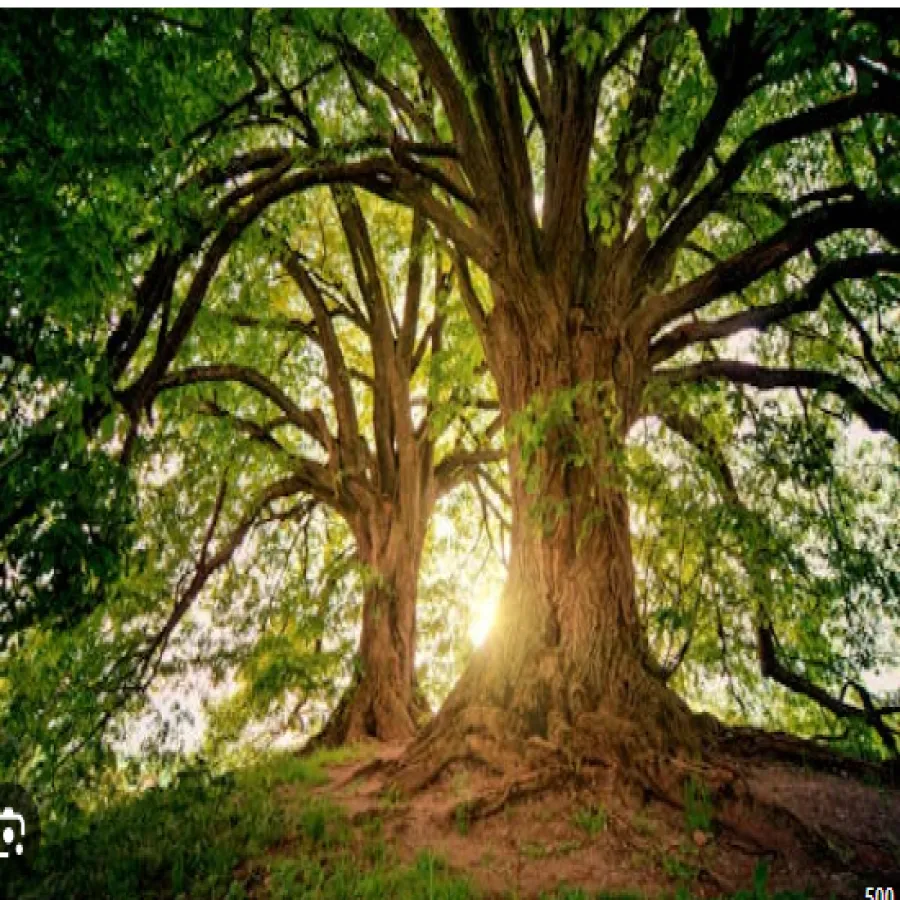 Mathematics , Statistics  Mechanics  Physics