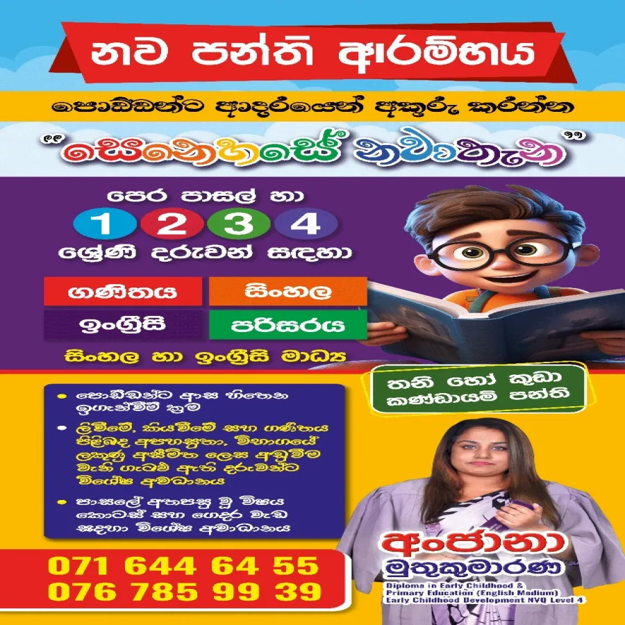 Preschool And Primary Teacher
