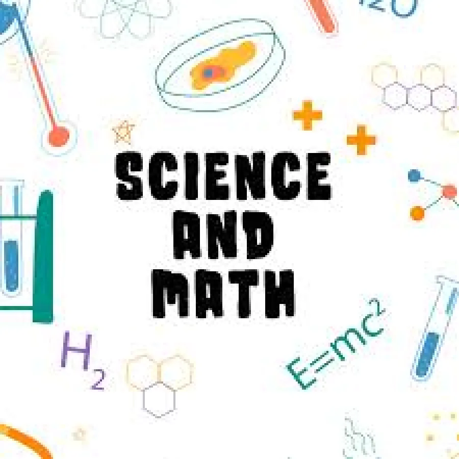 Home visit, individual,maths, science, English classes (gr1-4) -london