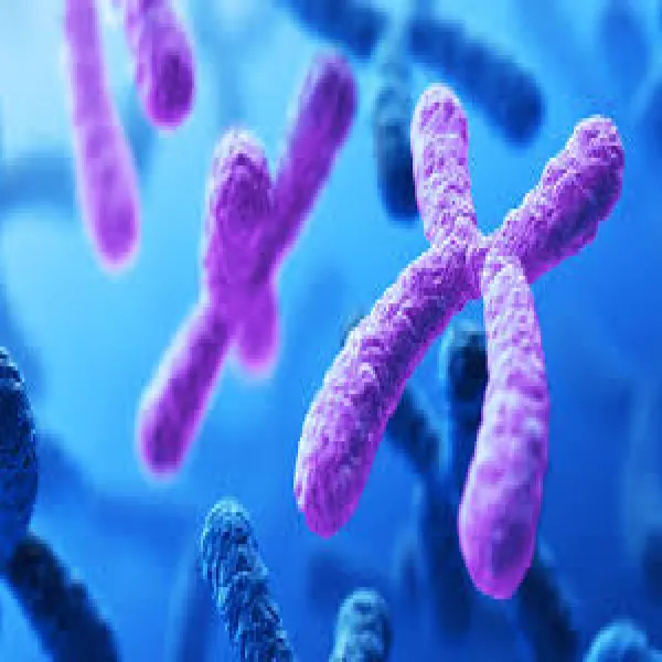 Biotechnology and Molecular Biology