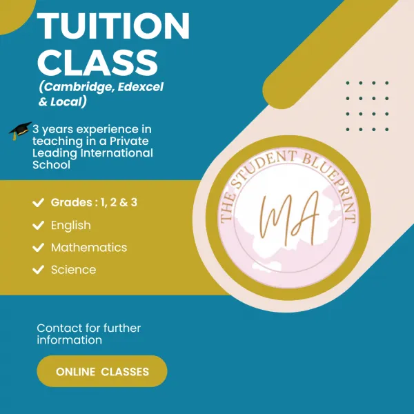 Primary Grades Tutor