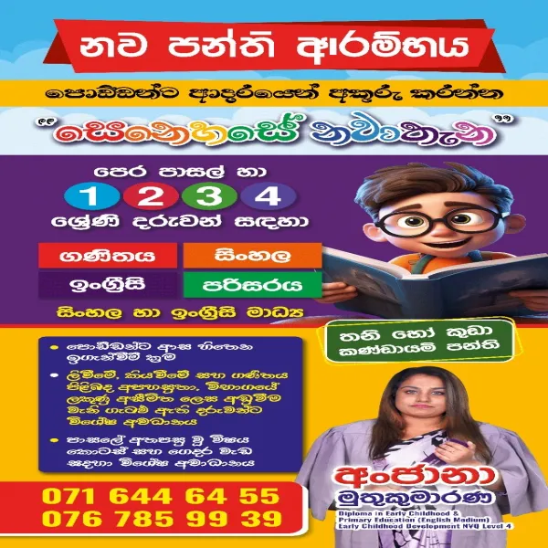 Preschool And Primary Teacher