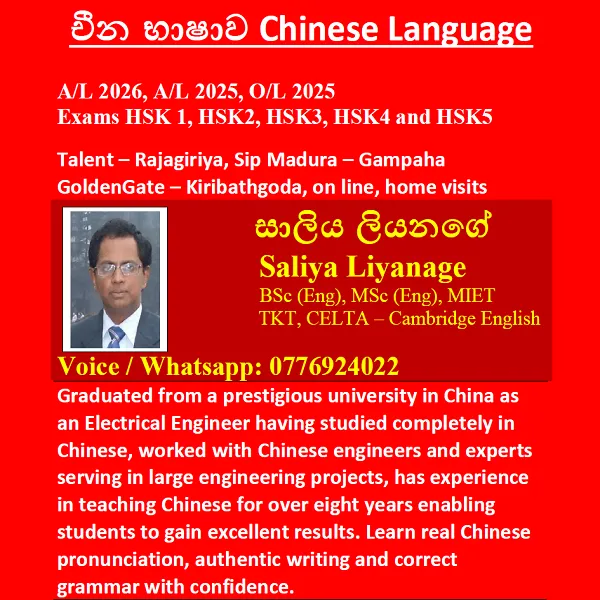 Chinese Language
