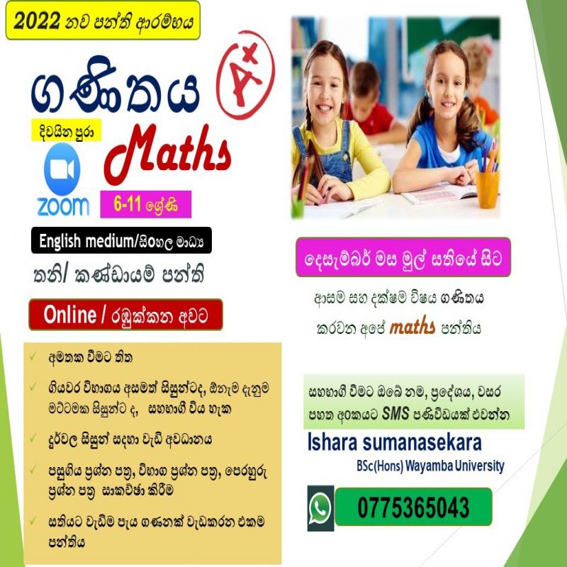 Maths classes (grade 6-11)