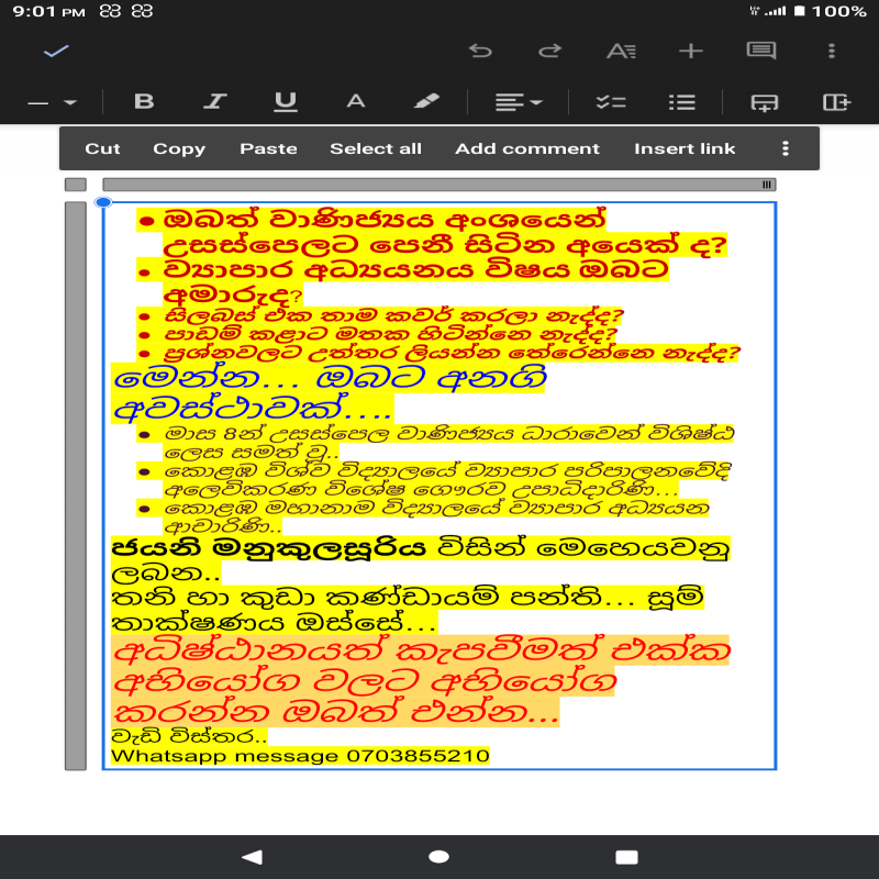 උසස්පෙල ව්‍යාපාර අධ්‍යයනය