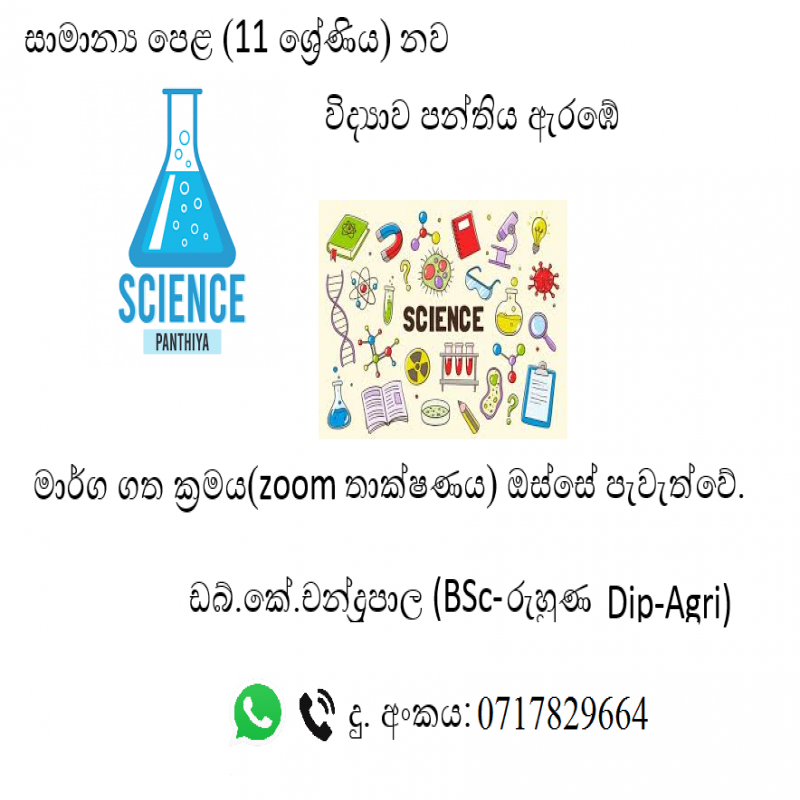 විද්‍යාව 6 සිට 11වසර දක්වා