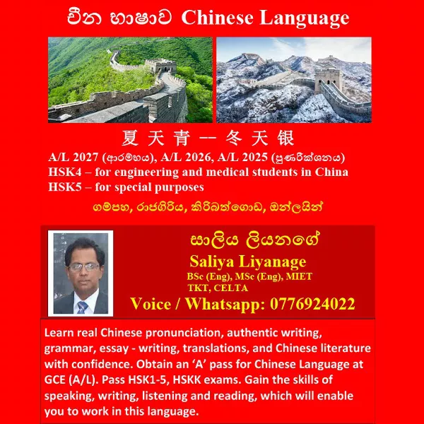 Chinese Language