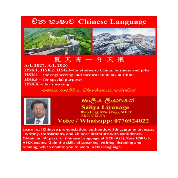 Chinese Language