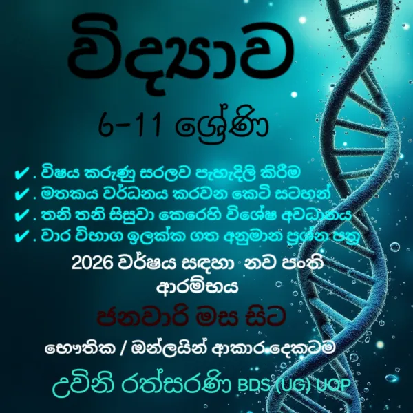 6-11 Science