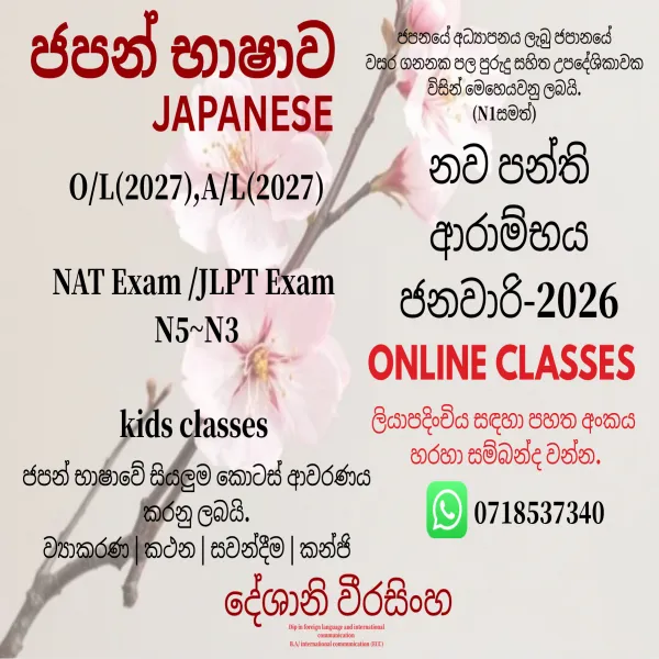 Online Japanese class
