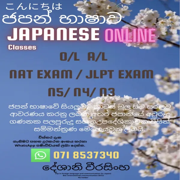 Japanese online classes