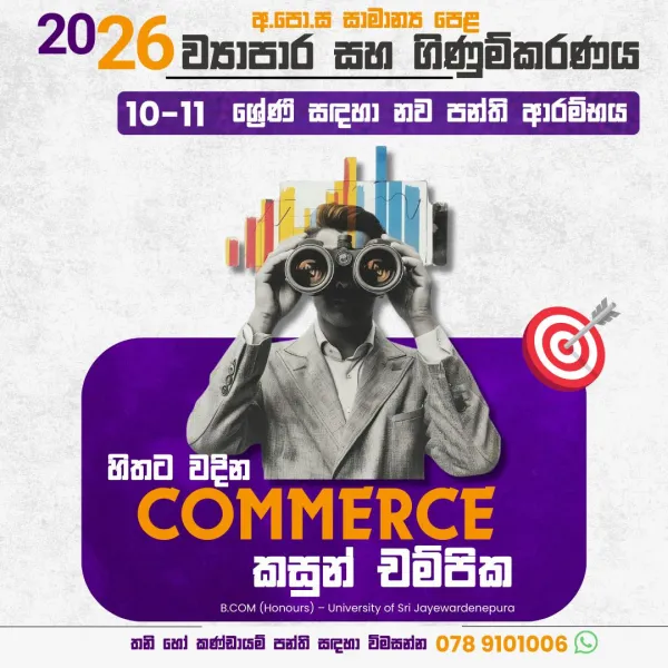 Commerce & Economies