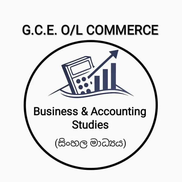 ව්‍යාපාර හා ගිණුම්කරණ අධ්‍යයනය - online classes