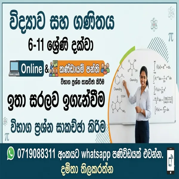 6-11 විද්‍යාව සහ ගණිතය