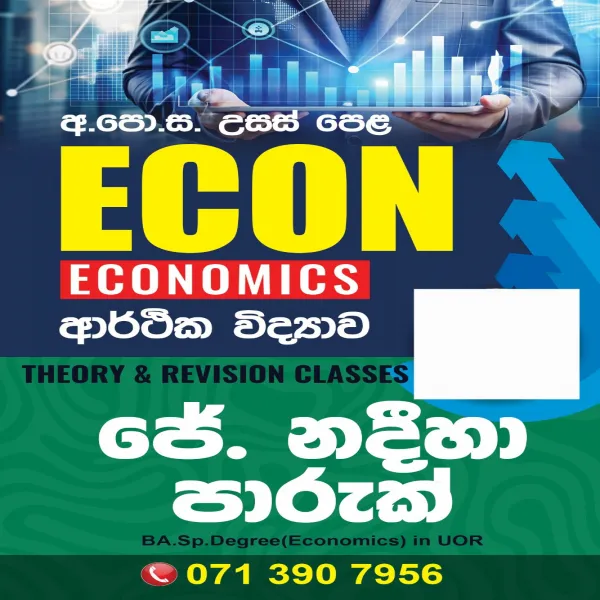 Advanced Level Economics