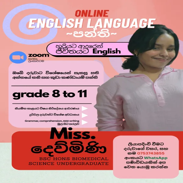 English Language INDIVIDUAL classes