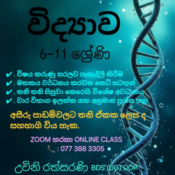 6-11 Science