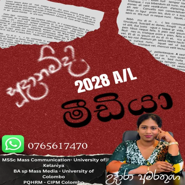 A/L MEDIA