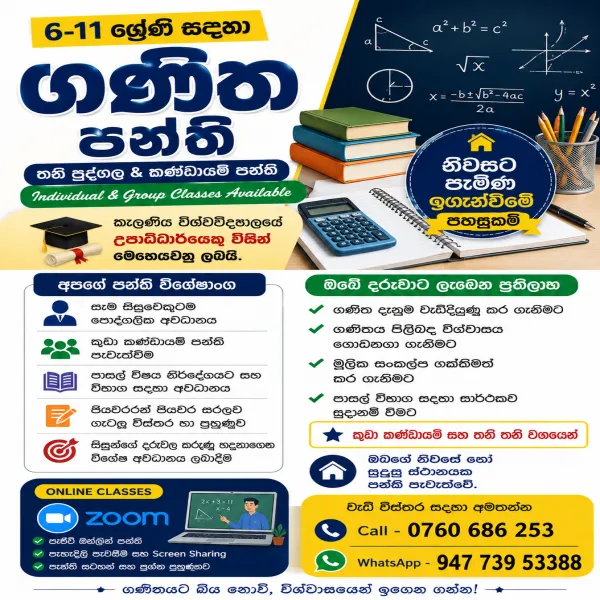 6–11 ශ්‍රේණි සඳහා ඔන්ලයින් ගණිත පන්ති