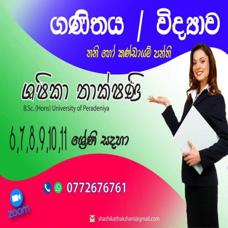 Online Mathematics for 6-11 students