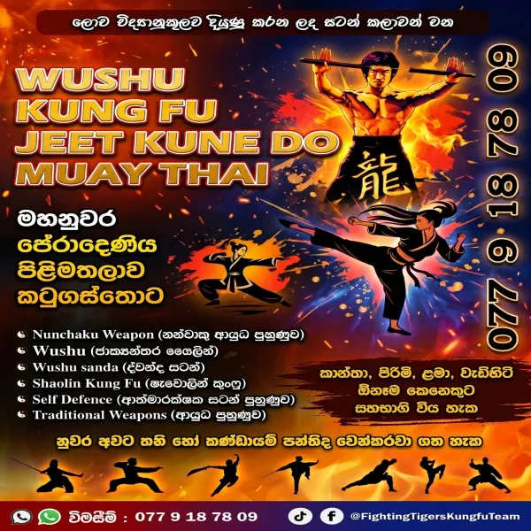Fighting Tigers Kung Fu School | Kung Fu | Wushu | Muay Thai
