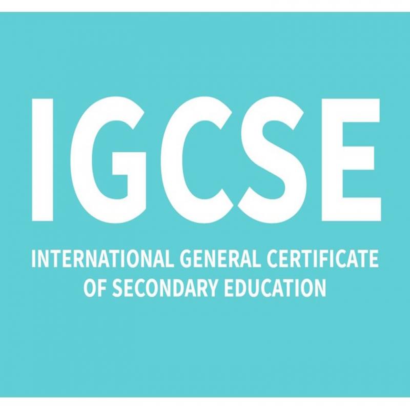 IGCSE Accounting, Economics and Business (Cambridge and Edexcel )