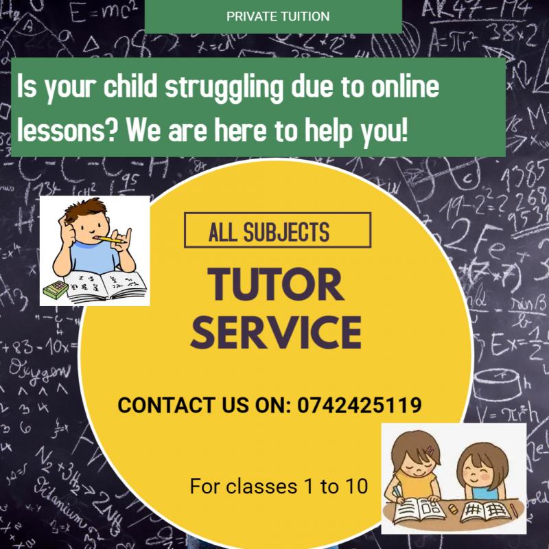 Grade 1-8 Maths/English/Science/French Class