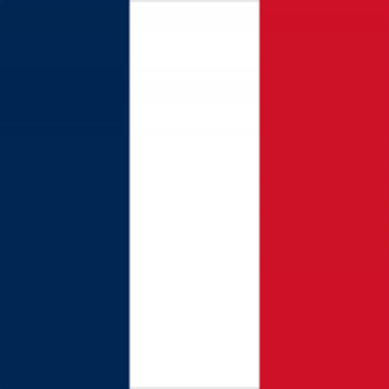 FRENCH ONLINE TUITION