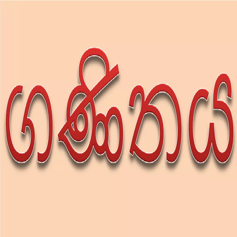ගණිතය 6-11 ශ්‍රේණි small group/online