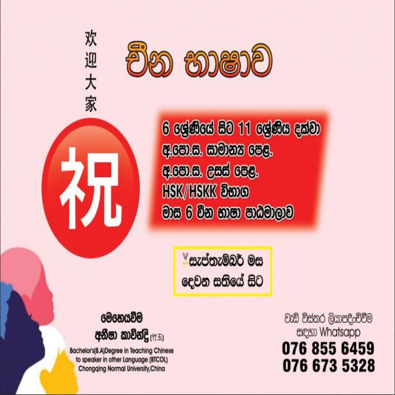 Chinese language