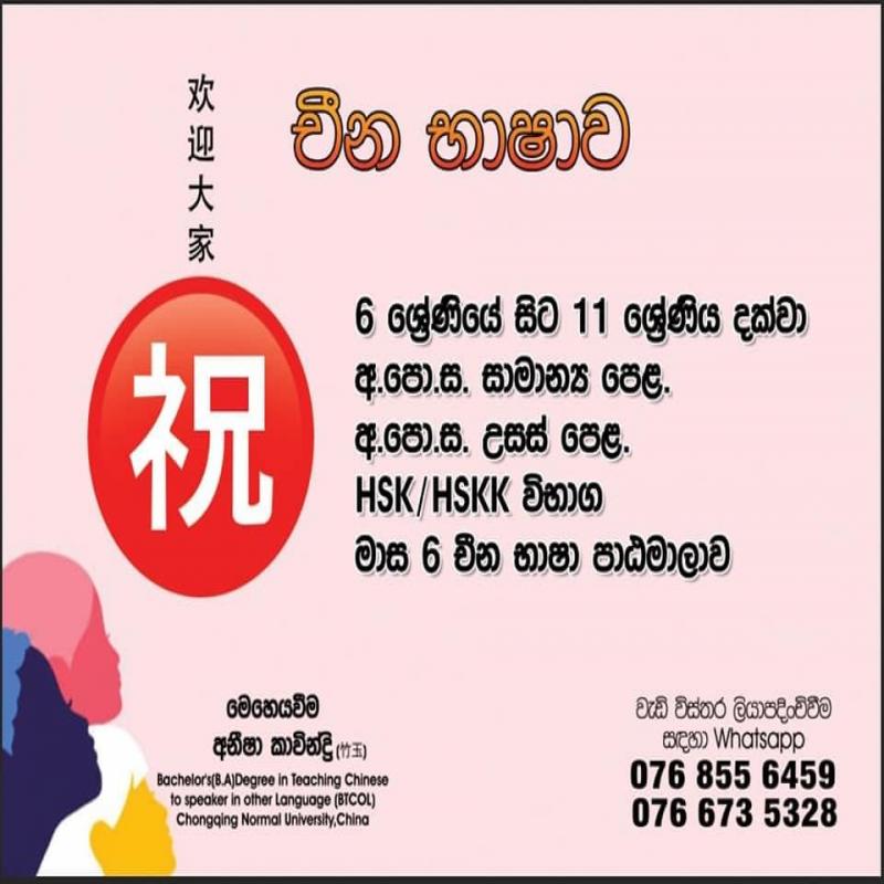 Chinese Language