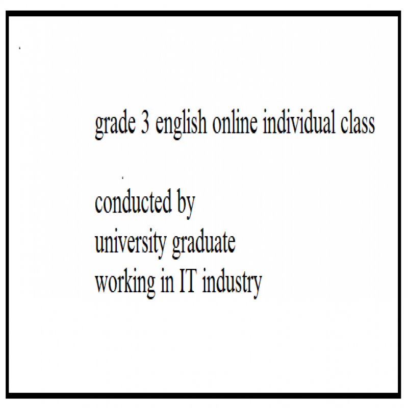 grade 3 english online individual class