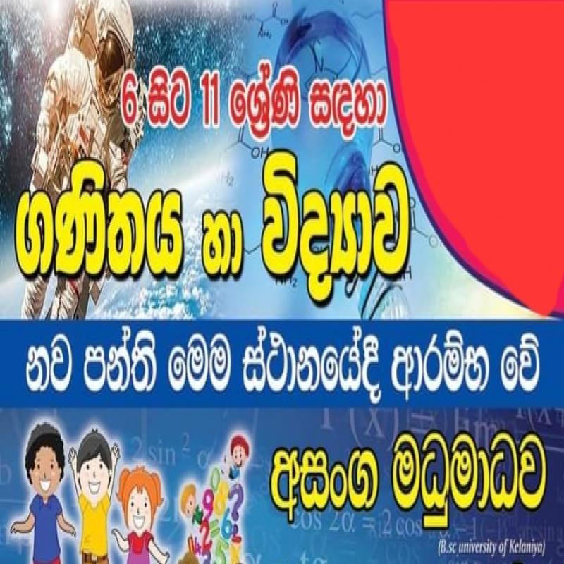 SFT and Mathematics Classes for O/L Students