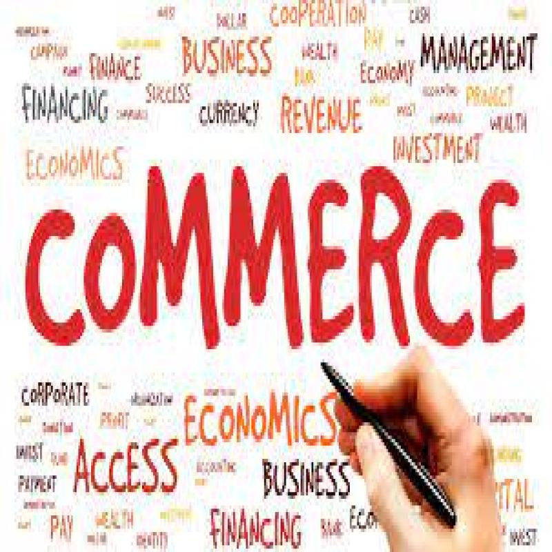 O/L Business & Accounting Studies