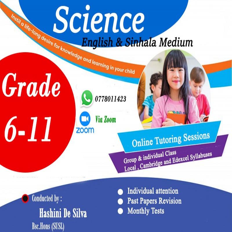 Cambridge, Edexcel & Local Science classes ( Grade 6-11)
