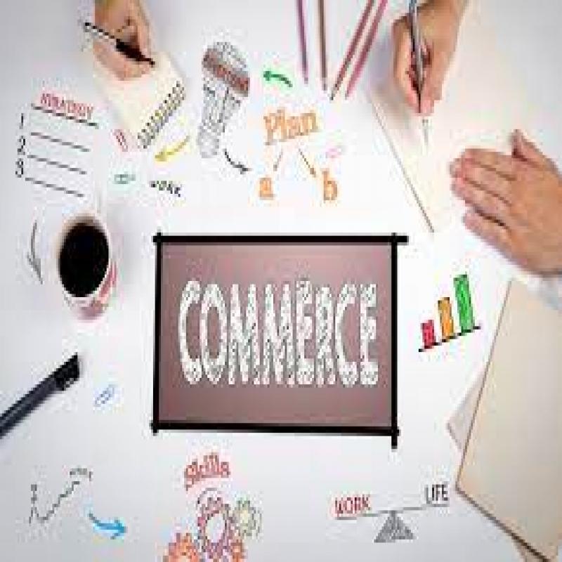 Commerce Classes-O/L English Medium
