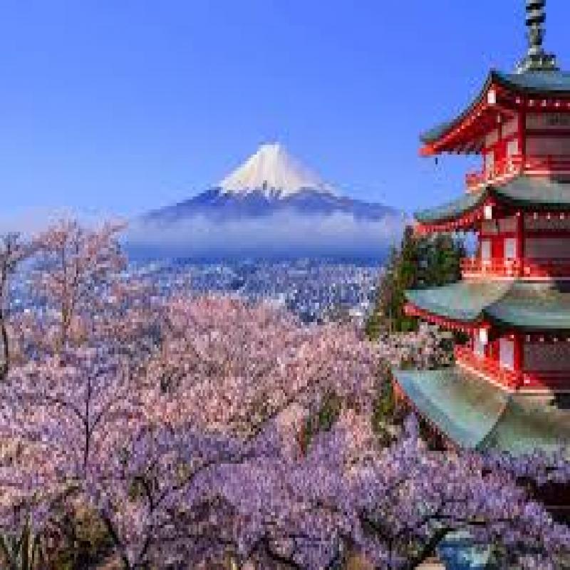 Japanese classes