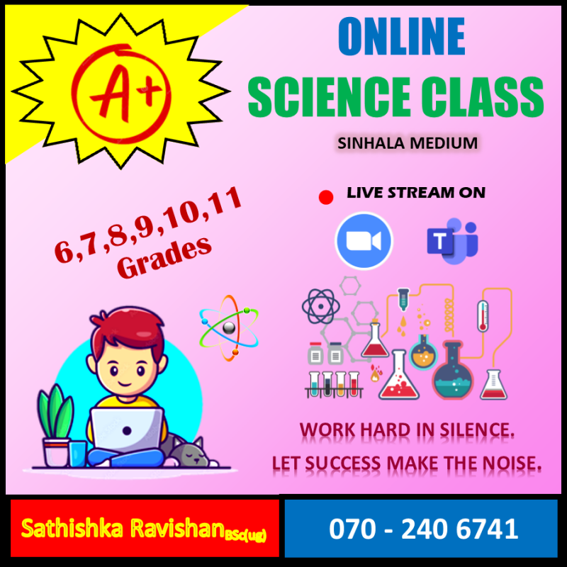 විද්‍යාව උපකාරක පංති (සිංහල මාධ්‍ය)
