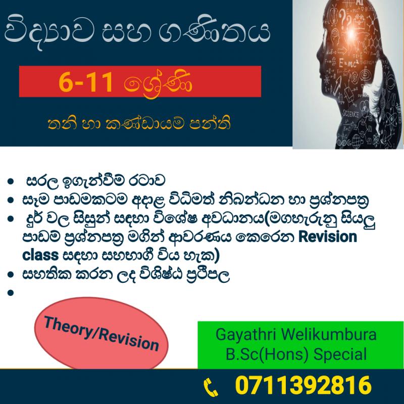 විද්‍යාව සහ ගණිතය (6-11 ශ්‍රේණි)සිංහල මාධ්‍ය -online /Physical