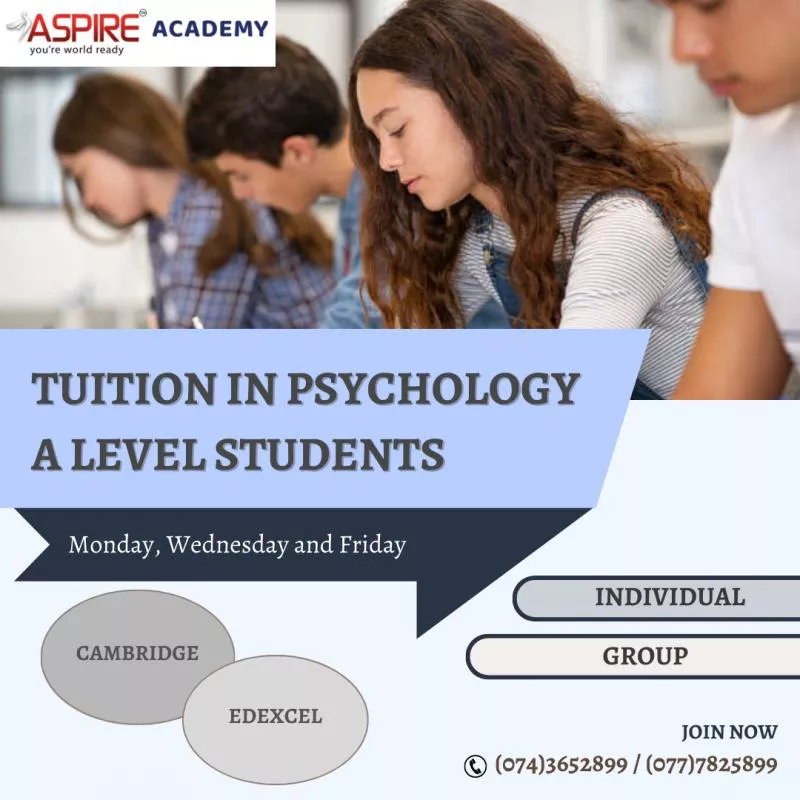 A Level Tuition in Psychology