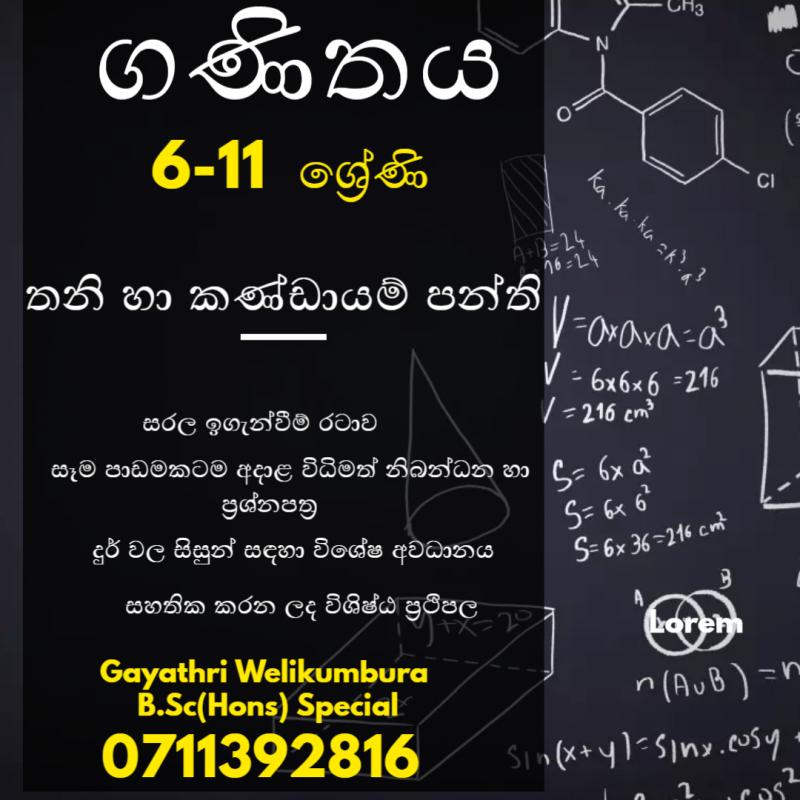Mathematics For Grade 6-11(Theory/Revision/Paper)- Sinhala Medium