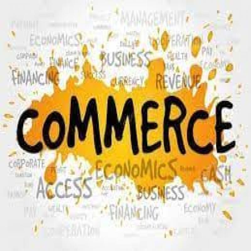 ACCOUNTIN/ECONOMICS ENGLISH MEDIUM