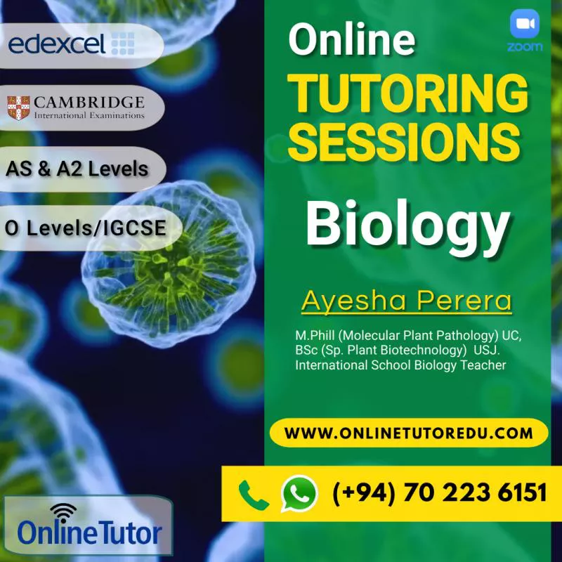 BIOLOGY - Cambridge / Edexcel - A/S & A Levels | O Level / IGCSE