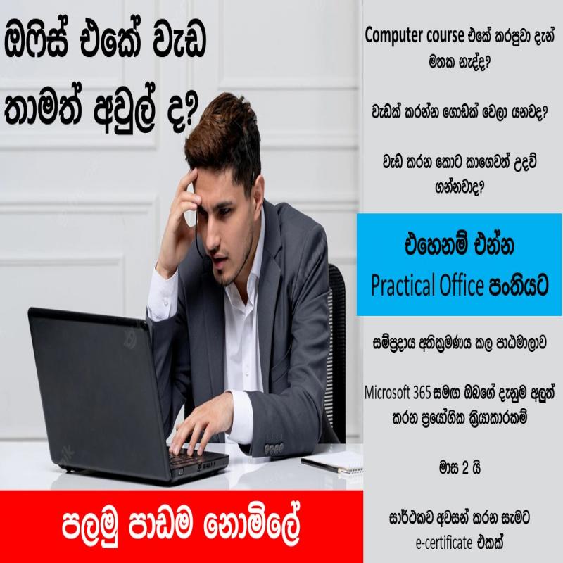 Microsoft Office 365 (Word, Excel, PowerPoint)